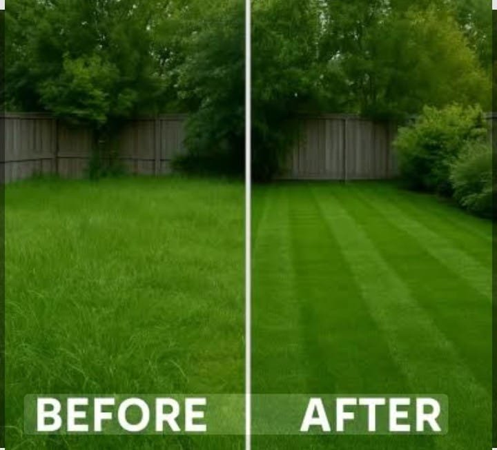 Clean lawn and landscaping service preview